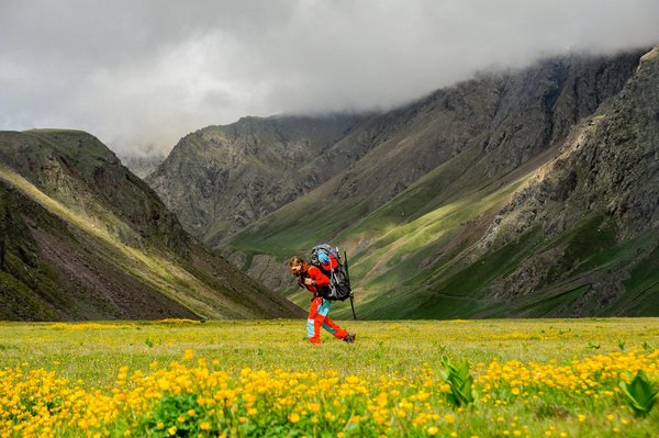 Où observer les orangs-outans en liberté à Bornéo : parcs et périodes recommandés ?