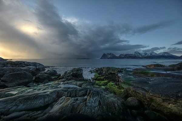 Quels sont les meilleurs itinéraires pour une randonnée en raquettes dans les Alpes suisses?